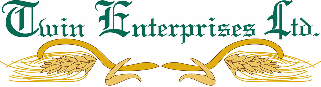 Twin Enterprises Logo